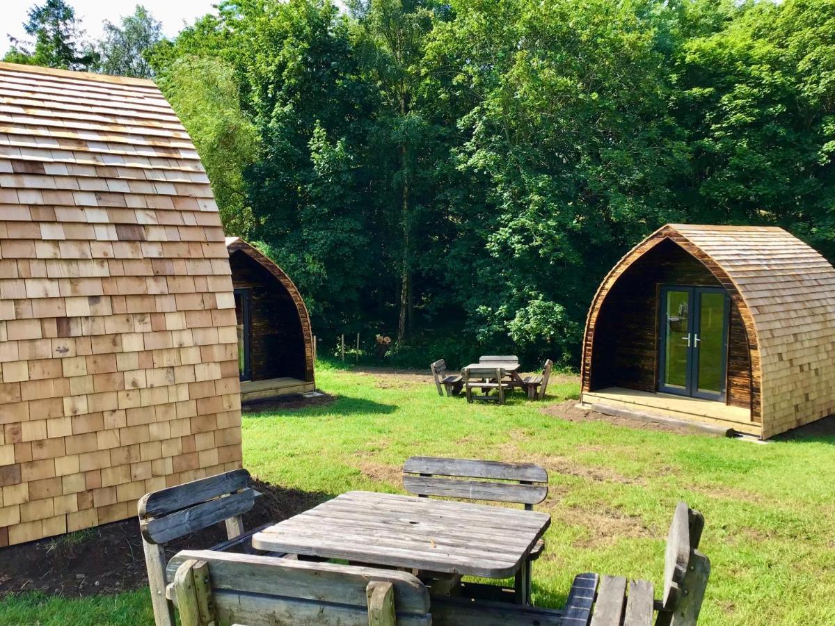 Alder Pod, Clay Bank Huts Hotel Ingleby Greenhow Exterior photo