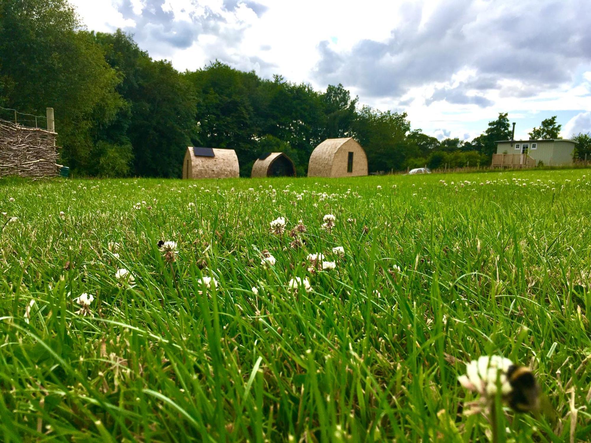 Alder Pod, Clay Bank Huts Hotel Ingleby Greenhow Exterior photo